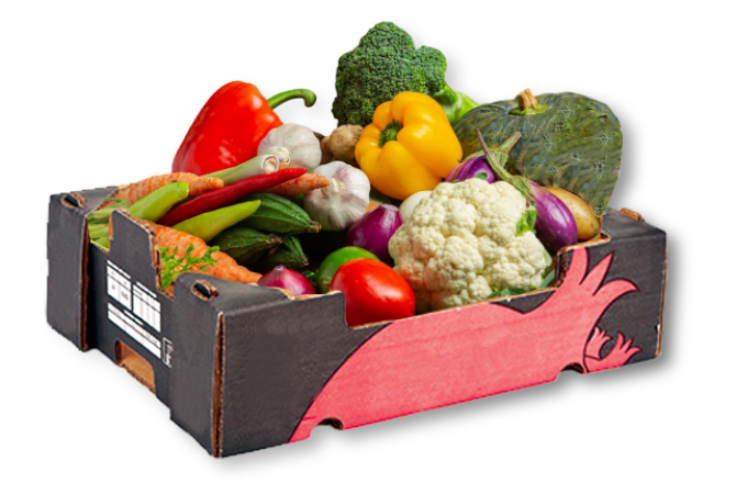 Cajas para Frutihorticola